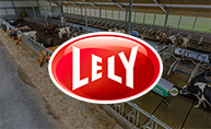 Lely